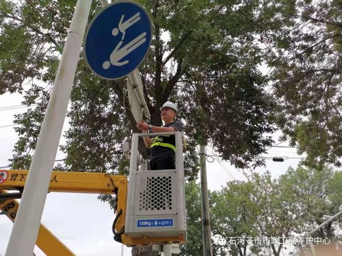 守護(hù)城市動(dòng)脈 大風(fēng)來襲，石河子市政工人緊急加固交通指示牌